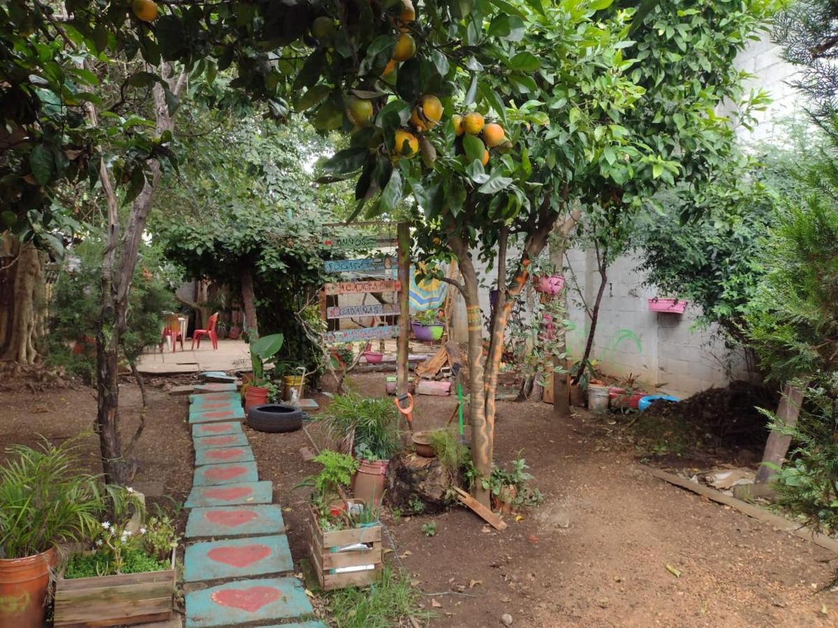 Casa Lothuz Spacio Cultural Y Disidente San Cristóbal de Las Casas Kültér fotó
